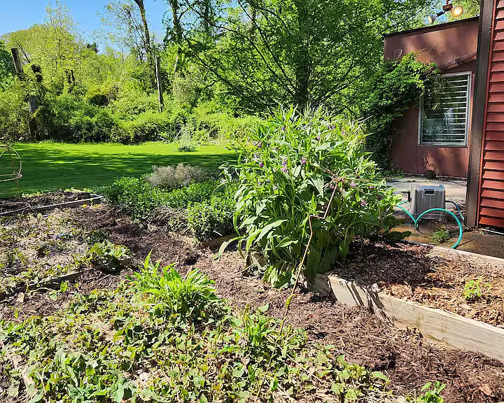 6105 Henry St — Photo 19