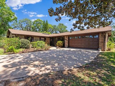 1905 Pine Tree Dr, Edgewater, FL, 32141