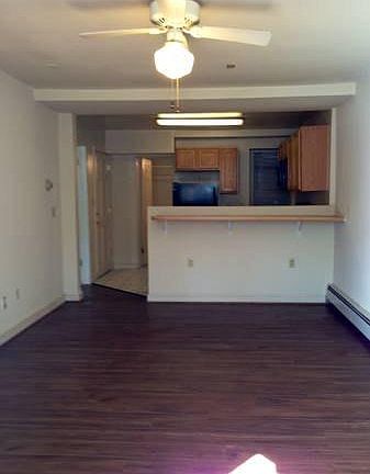 Living Room and Kitchen