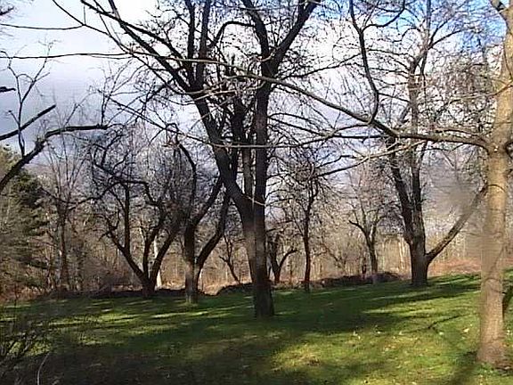 5th image of 550 County Route 50