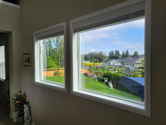 Windows facing the beautifully landscaped sideyard/backyard with privacy trees
