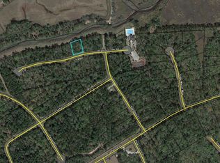 LOT 64 Branch Creek Rd, Woodbine, GA 31569
