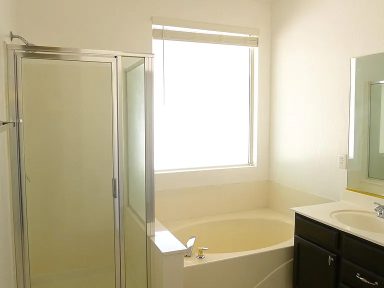 Master bathroom- walk-in shower, tub & dual sinks