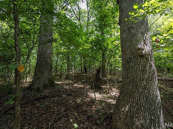 4th image of TRACT 2 Sweetgum Ln