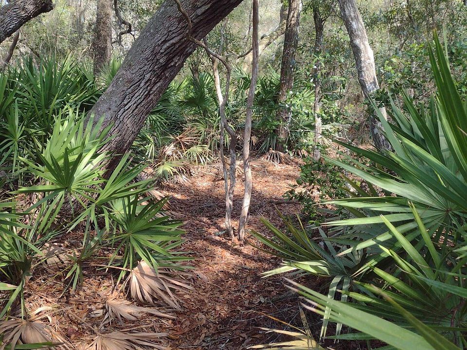 2nd image of 93 TUCKER LAKE Road