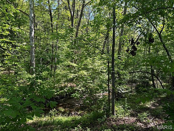 4th image of 222C Prairietown Rd