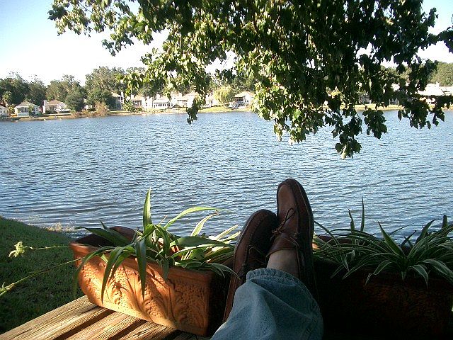 Relaxed on the Llake