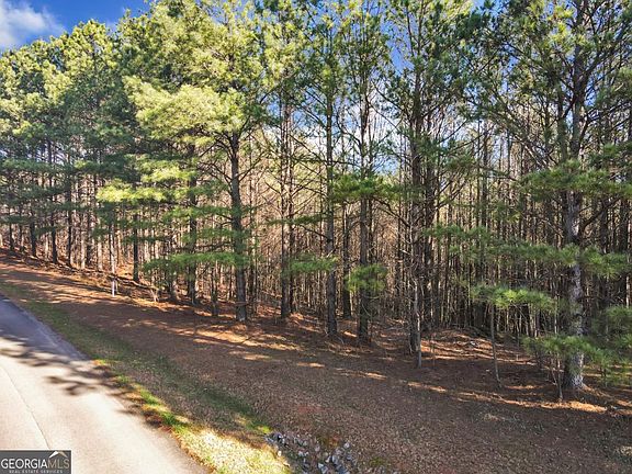 2nd image of 0 Foxpaw Leaf Ln #38