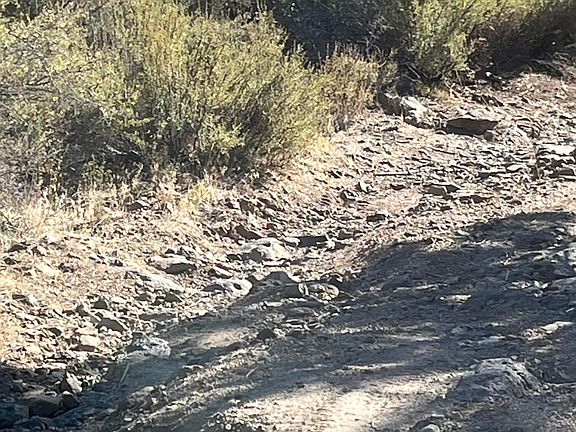 3rd image of Tableland Rd #3300
