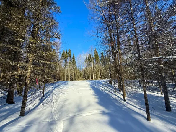 72XX E Central Lakes Rd Lot A, Eveleth, MN 55734