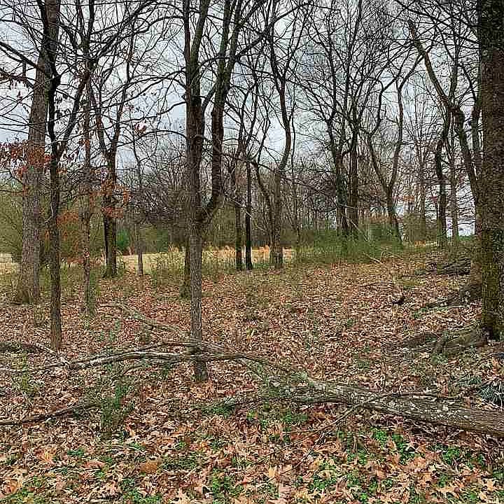 1st image of 279 Reynolds Dr