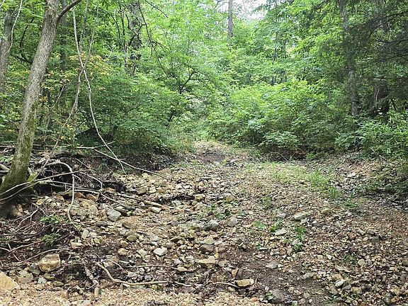 5th image of 001-06065-000 Copeland Ln