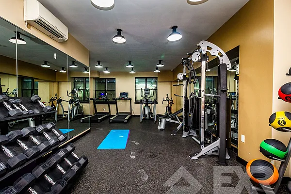 Rented by EXR | media 29