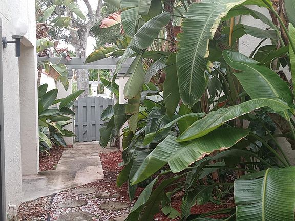 Opposite view of side of house showing front gate. Sliding glass doors also shown.