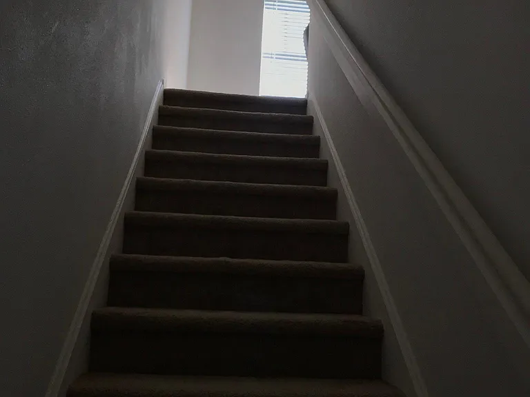 8518 Broken Willow Ct — Photo 17