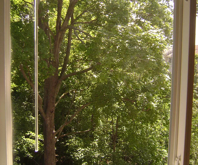 2867 Arboretum Village Trl — Photo 6