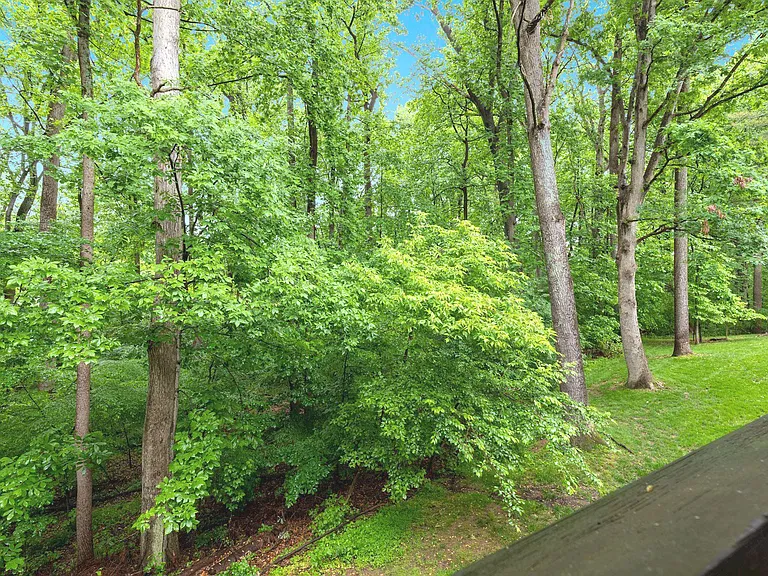 11430 Little Patuxent Pkwy #803 — Photo 23