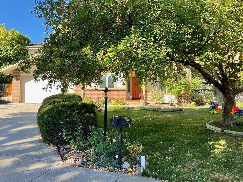 Front yard and the driveway