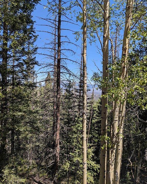 1st image of  LOT 5374 Adams Road