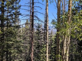LOT 5374 Adams Rd, Fort Garland, CO 81133