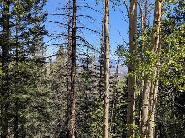  LOT 5374 Adams Road, Fort  Garland, CO 81133