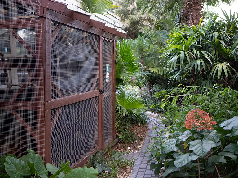 Enclosed catio connects to the living room, allowing your cat to enjoy the outdoors safely