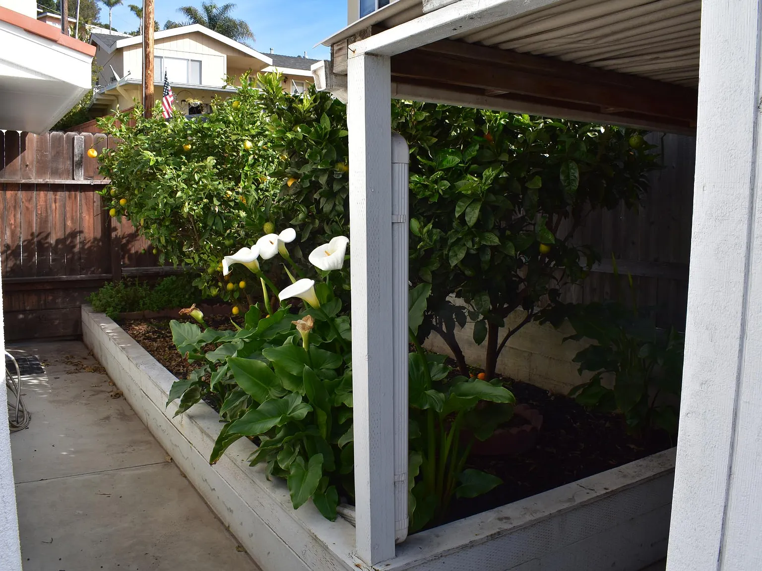 3 bed, 1200 sqft, $3,325 — Photo 3