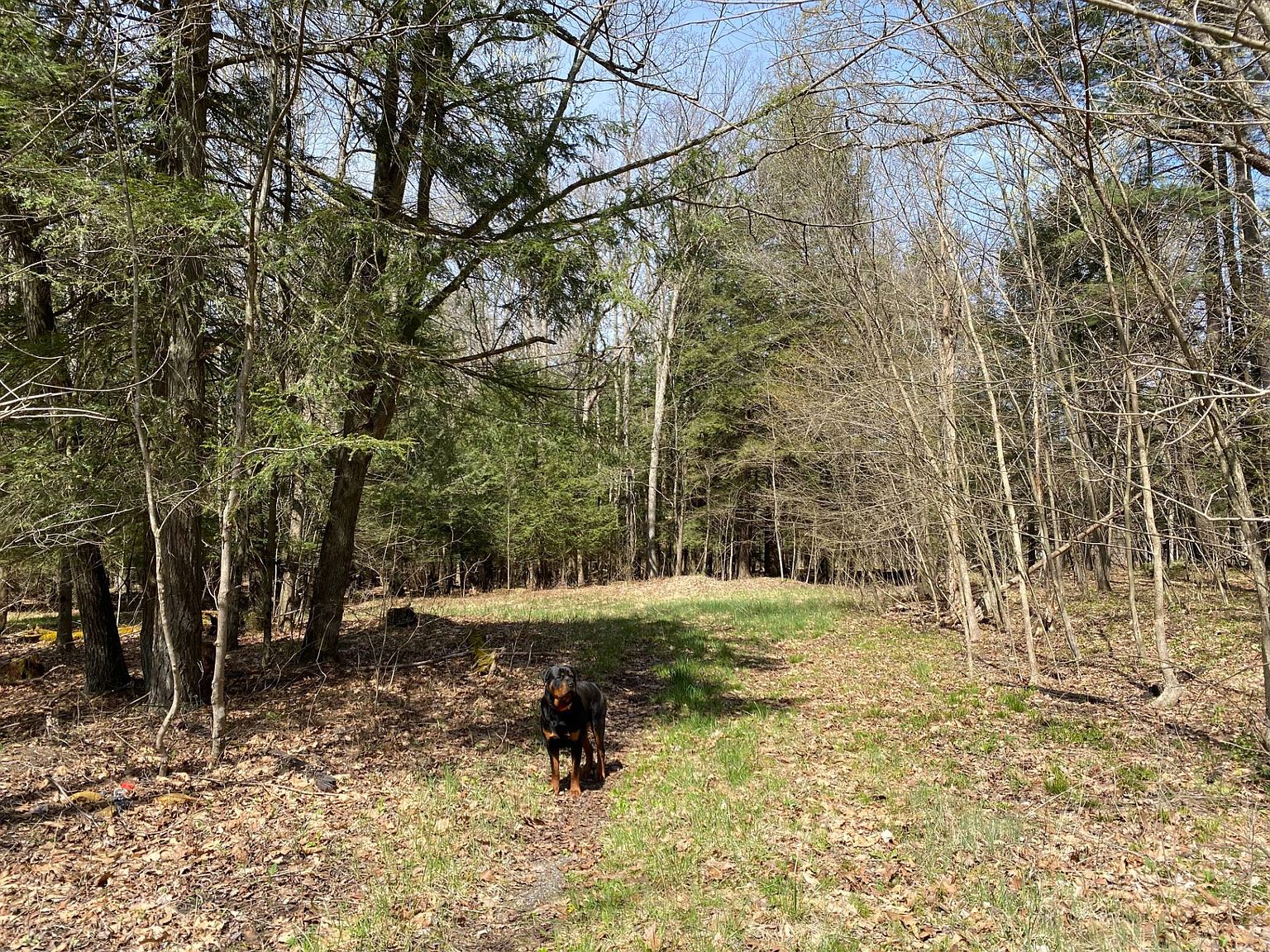 0 Route 36 WP001, Westover, PA 16692 MLS 11172613 Zillow