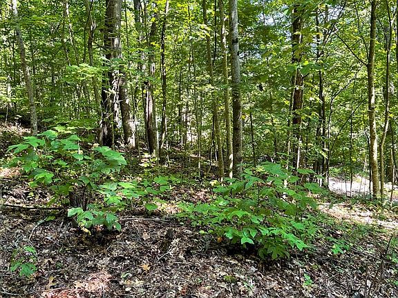 2nd image of LOT 8-8D Eagle Heights Rd