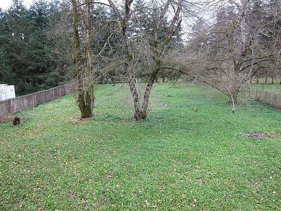 Huge Yard Perfect for Family Gatherings
