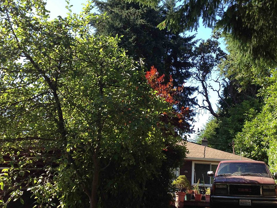 2nd image of 1527 NE 102nd St