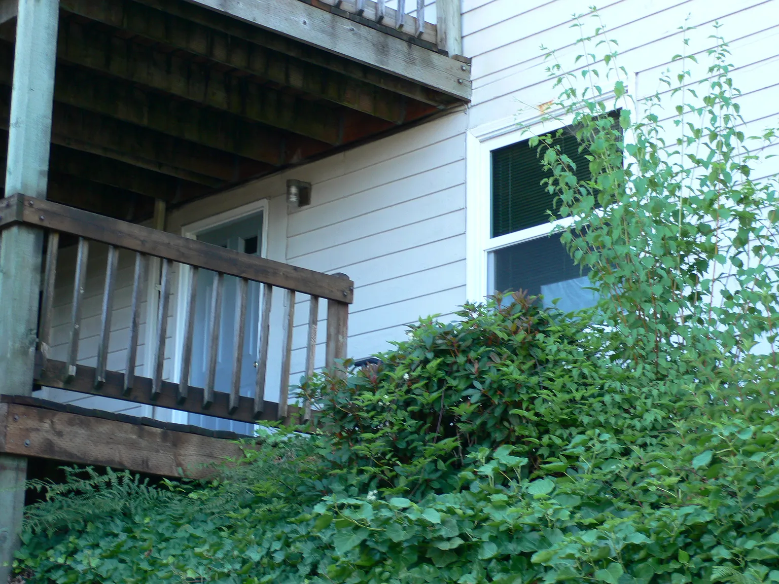 Studio, 550 sqft, $1,250 — Photo 3
