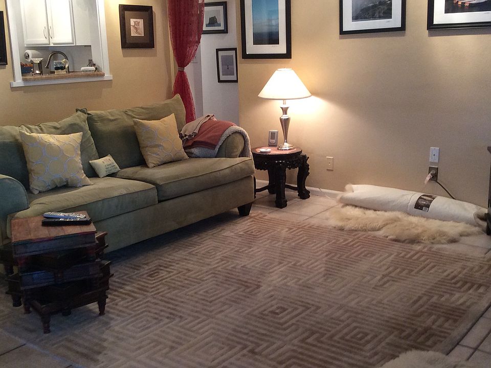 Large Living Room