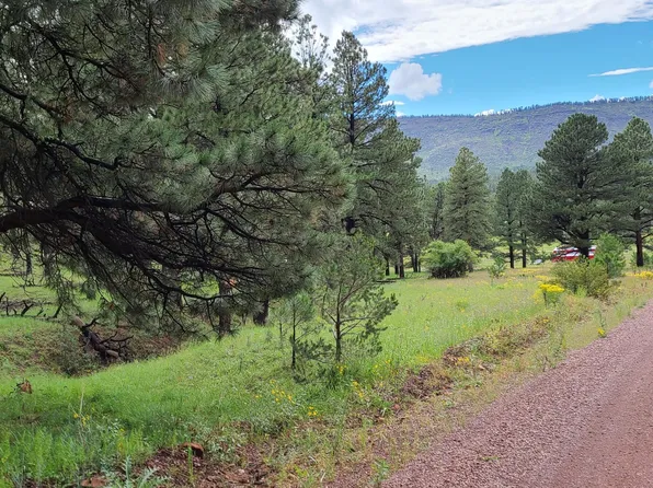 N2276 Cr, Nutrioso, AZ 85932