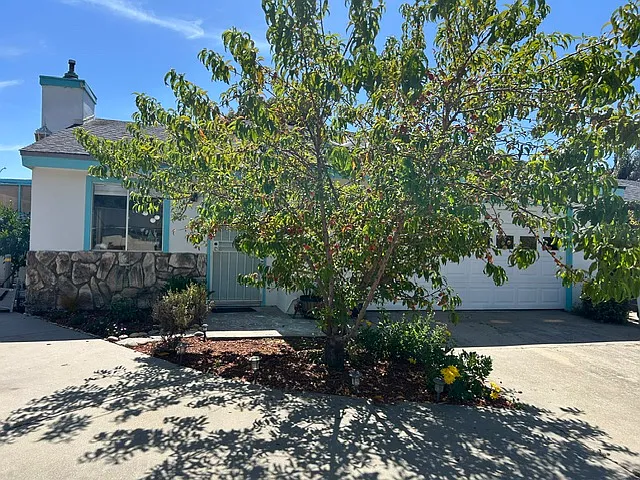 321 Tiger Tail Dr