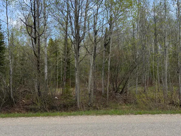 13764 N Mackinaw Hwy, Mackinaw City, MI 49701