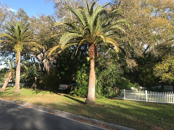 4th image of 809 Groveland Ave