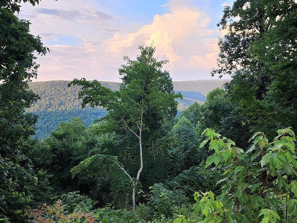 61st image of this home