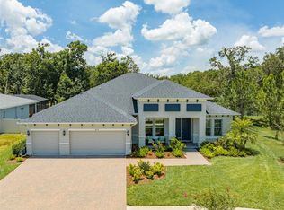 14118 Tomentosa Ave, Riverview, FL 33569