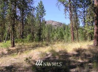 0 W Lyman Lake Rd, Tonasket, WA 98855