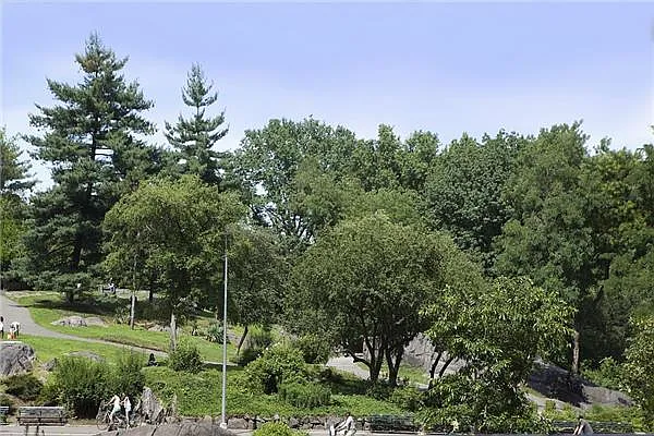 Rented by Space Marketing Shop | media 6