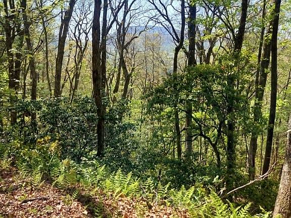 2nd image of Pipetrack Gap Rd