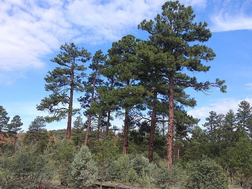 5139 Highway 260, Clay Springs, AZ 85923 MLS 221746 Zillow