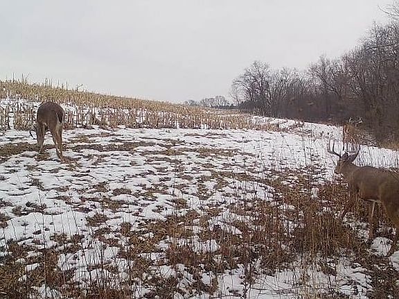 4th image of County Rd E