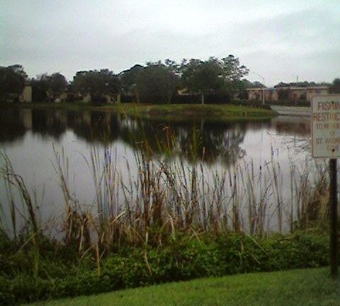 Pond viewable from bedroom window