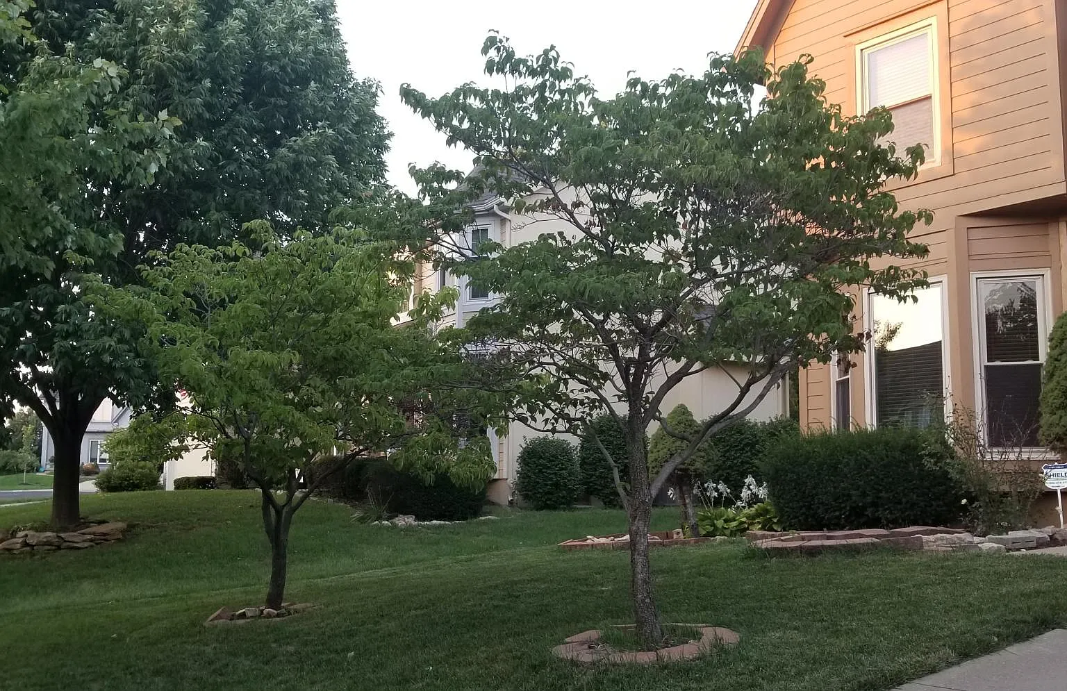 4 bed, 3100 sqft, $2,850 — Photo 3
