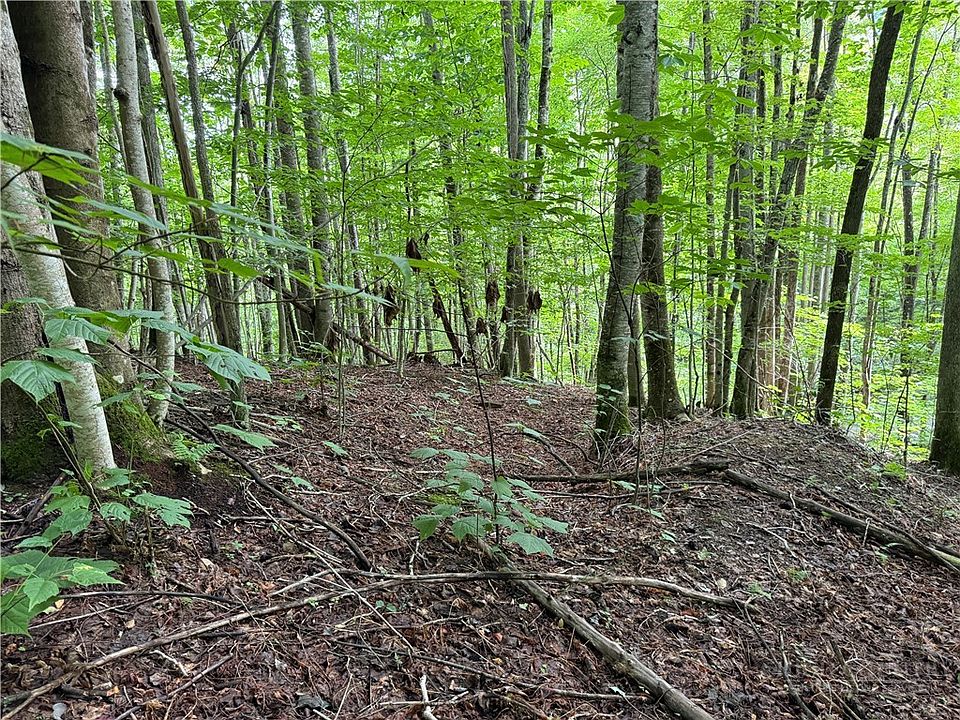1st image of Lot 3 Buckeye Ridge Road