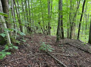Lot 3 Buckeye Ridge Road, Beech Mountain, NC 28604