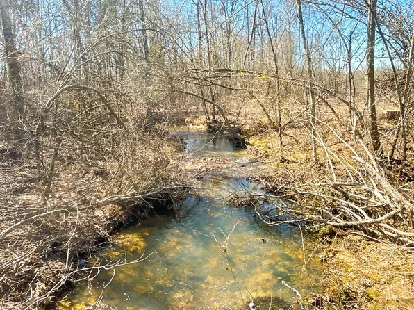 Forest Rd, Kirby, AR 71950