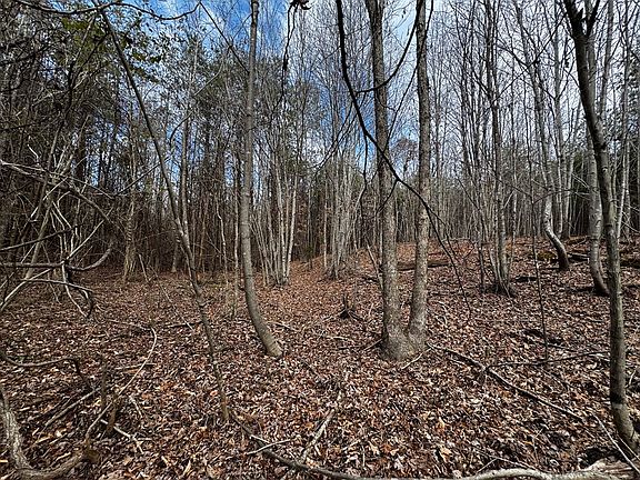 5th image of 0 Carter Smith Rd